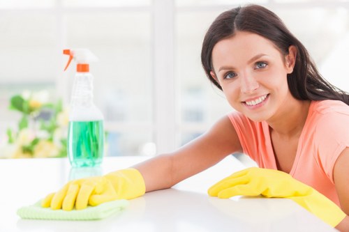 Professional rug cleaning service for a Putney home living room rug