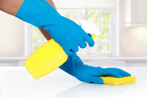 Accessibility statement introduction for Putney Carpet Cleaners