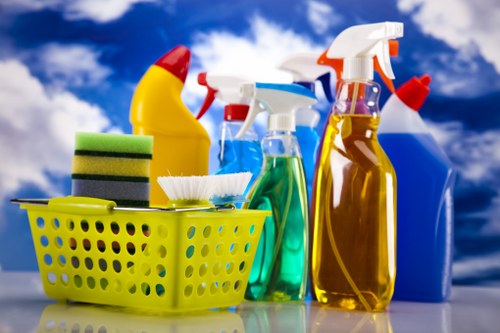Deep cleaning equipment used for pet odour removal in a Putney flat
