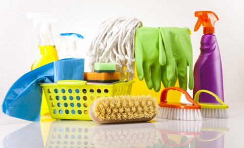 Professional upholstery cleaning for sofas in Putney homes