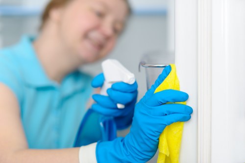 Pet stain treatment for upholstery and carpets in Putney property