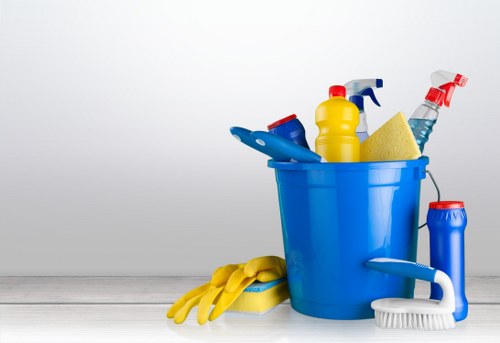 Professional carpet cleaners handling service liability terms