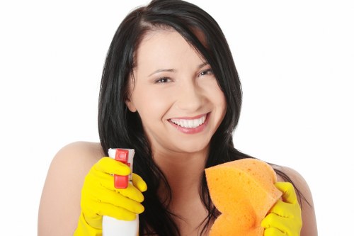 Cookie categories summary for Putney Carpet Cleaners
