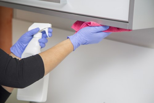 Putney Carpet Cleaners applying a safe and professional cleaning process